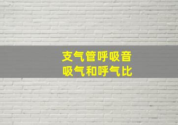 支气管呼吸音 吸气和呼气比